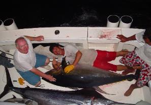 overnight trip yellow fin over 300lbs