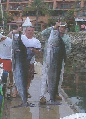 striped marlin