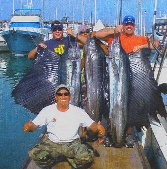 sail fish limit