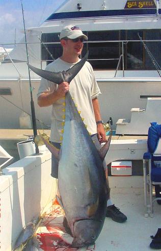 260 lb yellow fin tuna